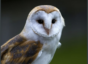 screenshot%202025-10-30%20161356