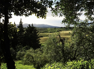 screenshot%202025-10-30%20161630