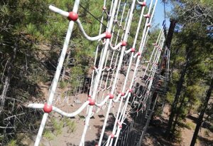 imgi_32_serpiente.jpeg imgi_32_serpiente.jpeg