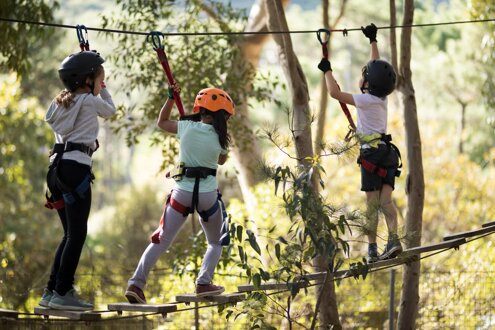 imgi_46_determined-kids-crossing-zip-line-tljxuyp.jpeg