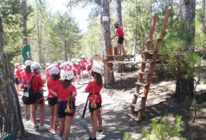 imgi_44_arpa-mono-cruzado.jpeg imgi_44_arpa-mono-cruzado.jpeg