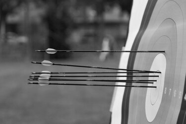 imgi_25_archery-target-with-arrows-on-it-b6mdjva1.jpeg imgi_25_archery-target-with-arrows-on-it-b6mdjva1.jpeg