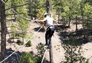 imgi_40_arpa-mono-cruzado-2.jpeg imgi_40_arpa-mono-cruzado-2.jpeg