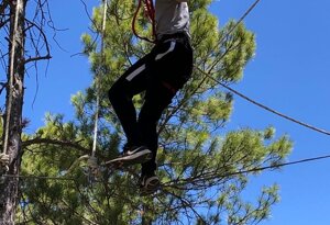 imgi_45_70629725-46c2-4c39-a2ce-610870e4c406.jpeg imgi_45_70629725-46c2-4c39-a2ce-610870e4c406.jpeg