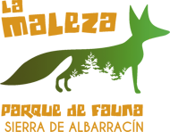 logo la maleza sin fondo letras naranajas