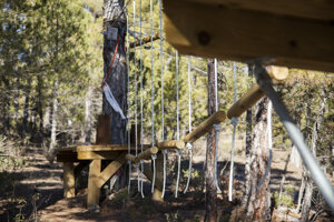 circuito-de-tirolinas-y-retos-arborismo-con-monitor