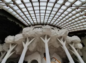 1606985698354.jpeg 1606985698354.jpeg