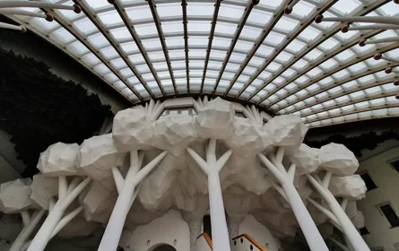 1606986337767.jpeg 1606986337767.jpeg