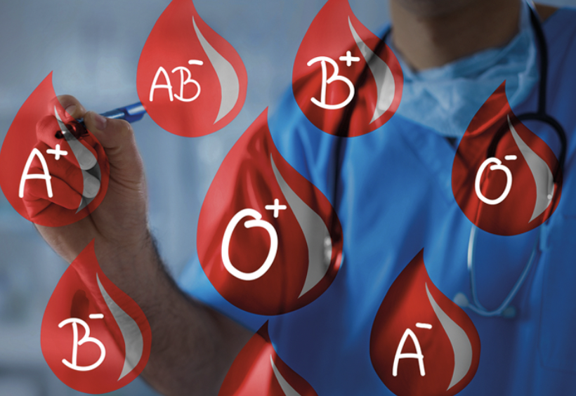 Donazione del sangue: Asp di Catania aderisce alle giornate regionali dedicate a Falcone, Borsellino e Livatino