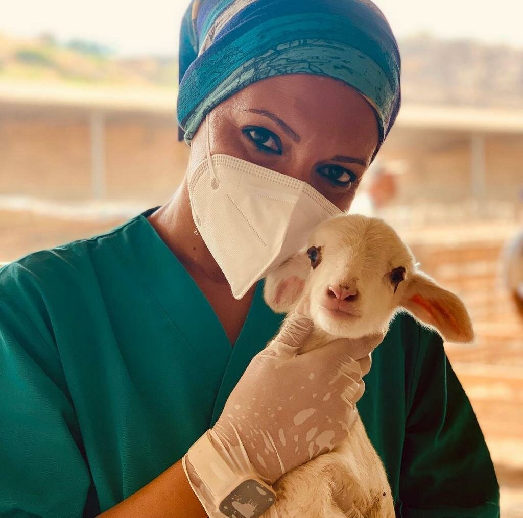 Prevenzione veterinaria, Catania protagonista della prima Giornata Nazionale