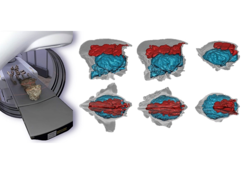 iene-interna.png iene-interna.png