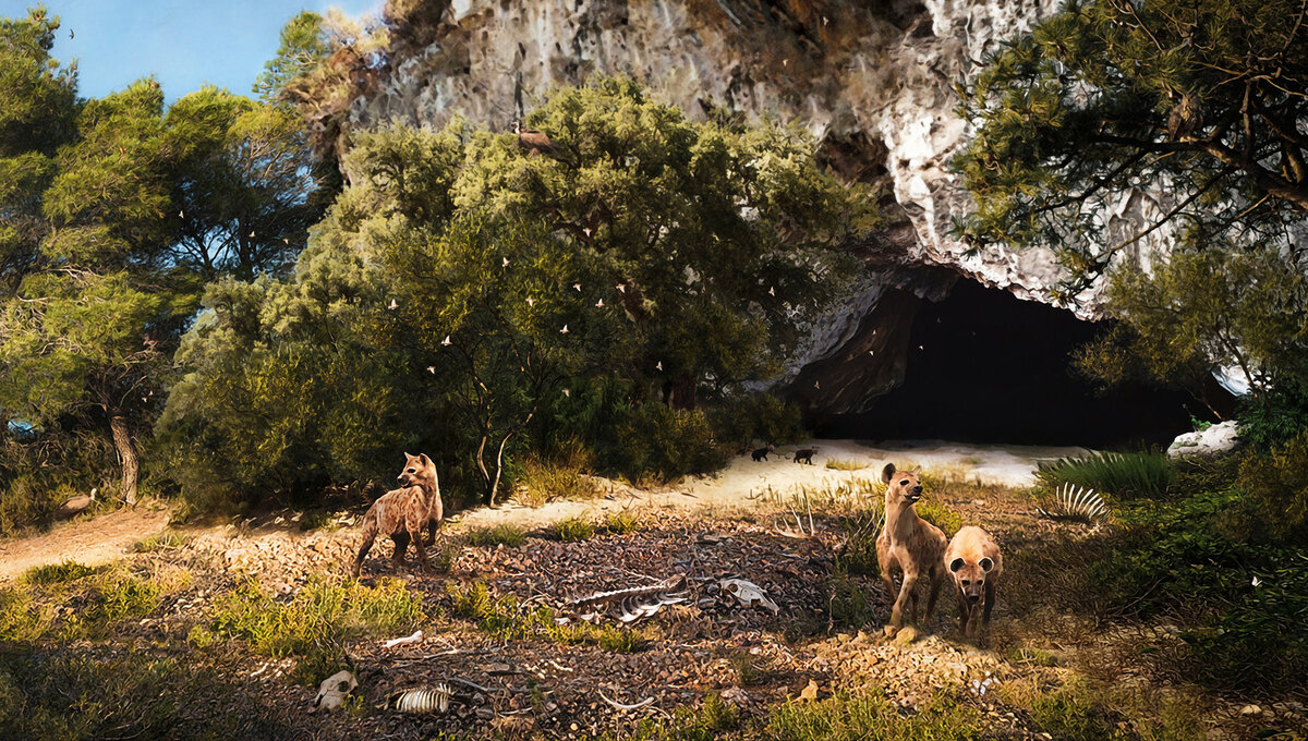 In Sicilia c’erano le iene: più piccole e con un cervello diverso