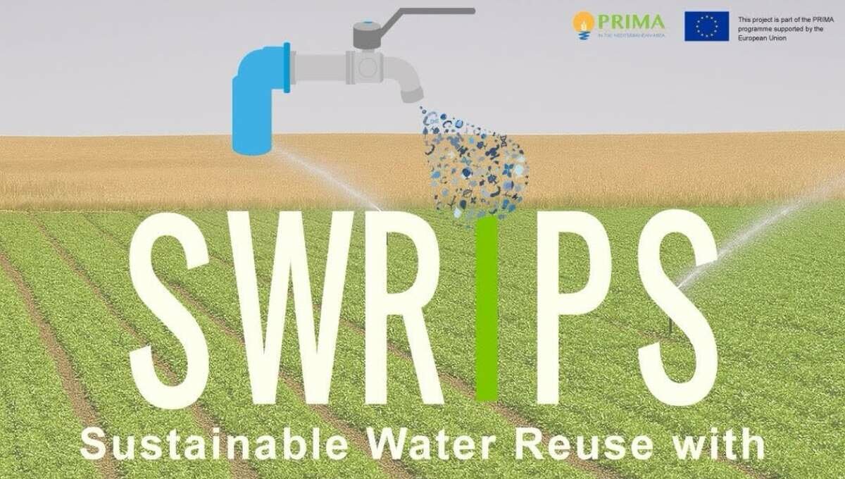 SWRIPS, Sensori al carburo di silicio per controllare l’acqua depurata in tempo reale