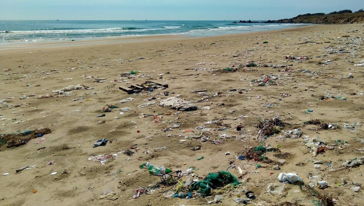 Mediterraneo, l&rsquo;1% dell&rsquo;acqua ma il 7% delle microplastiche