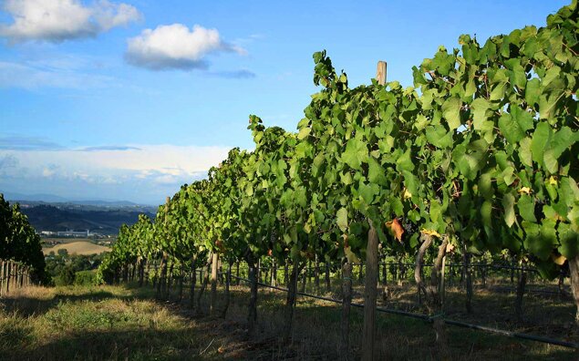 0bd6864dd4d7e55fbae91386e60488b3d1d6a478