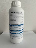 leoradical-top