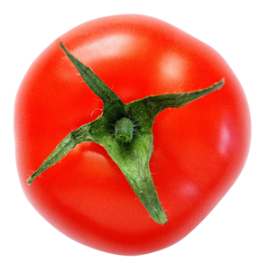 2195f33fd183027407652101c25eb6f5d524dcbd