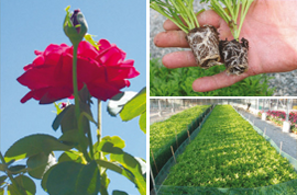 48e9badfd1bccf61b5690b8871c05a45dc738165