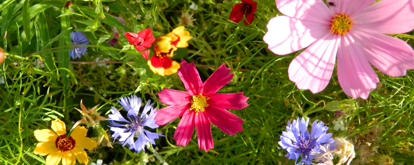 4916c7e7991020ea40eb5f90808e92c92016f512