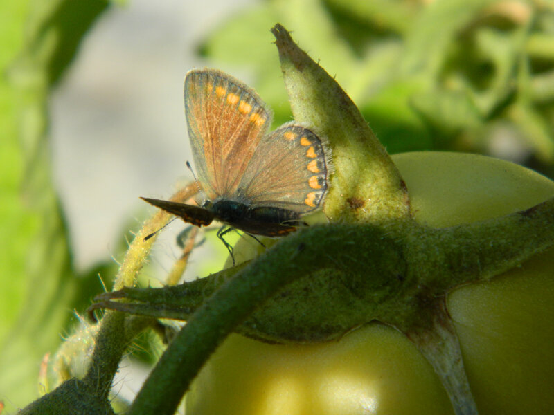 a27d24d4d83631045949c8a97fd20b06443ca7mv2-1003990366.jpg a27d24d4d83631045949c8a97fd20b06443ca7mv2-1003990366.jpg