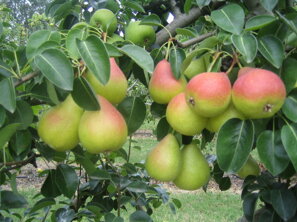 a5781d328c1a0a806679b5100587d90284136bf6