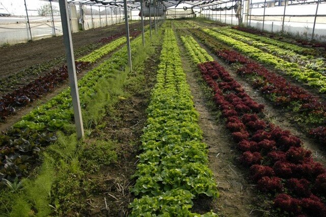 a27d24c0d8d73de8e34e17a0c225c041a1c100mv2-1091159206.jpg a27d24c0d8d73de8e34e17a0c225c041a1c100mv2-1091159206.jpg