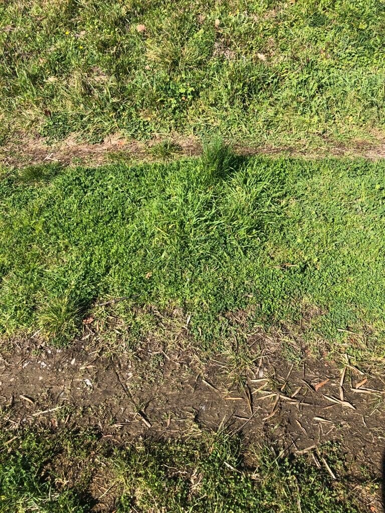 Una riflessione in vista della primavera