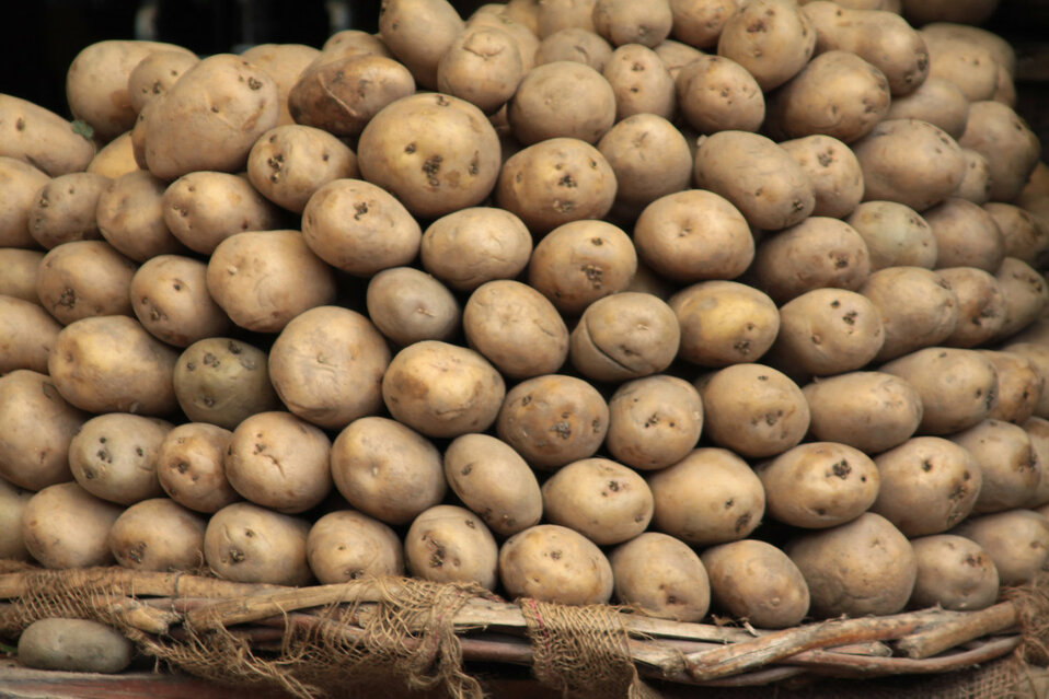 Fertilizzanti e Corroboranti per l'agricoltura biologica