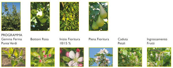 e9c083fa0e5568878e507490dabaa2e0a6d61364