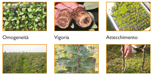 eb993ca216fb0da66f4ed826e8fd8b30dbe9c759