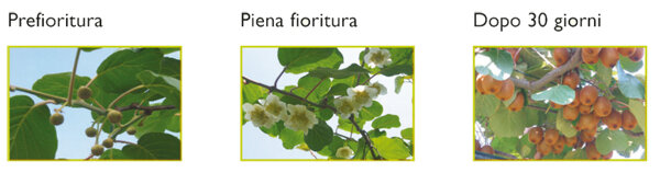 f672ecfc3b50a7903e9186a88b69f9f8740af567