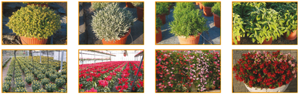 f8e745ddc1ed4270cd0976fdd2739b93e3a73bc3