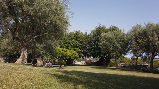 giardino casa quartarella.jpeg