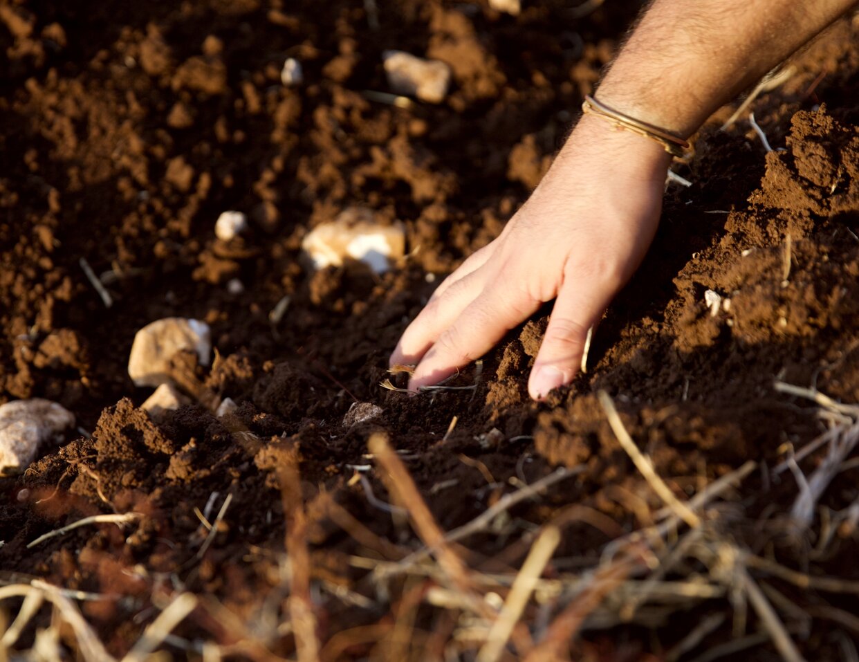 amore per la terra.jpeg