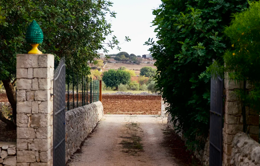 tredioroabout