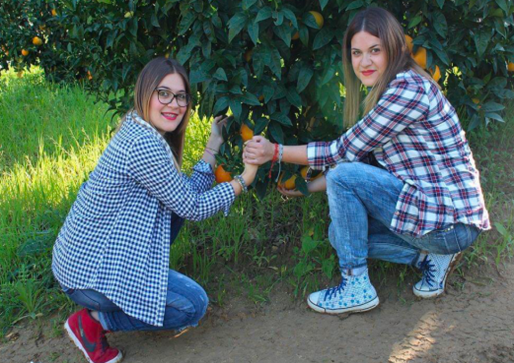 Two women harvesting oranges in a citrus grove representing Sicilian heritage and organic farming in Catania.
