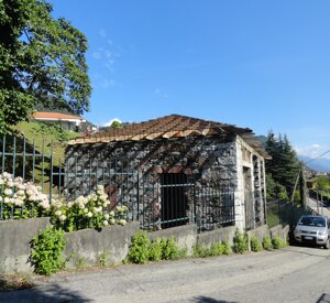 dsc06651.jpeg dsc06651.jpeg