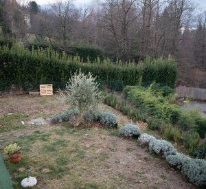 photo_2019_03_21_16_58_58.jpeg photo_2019_03_21_16_58_58.jpeg