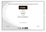 imgi_4_caporossi-silver-orvieto_1