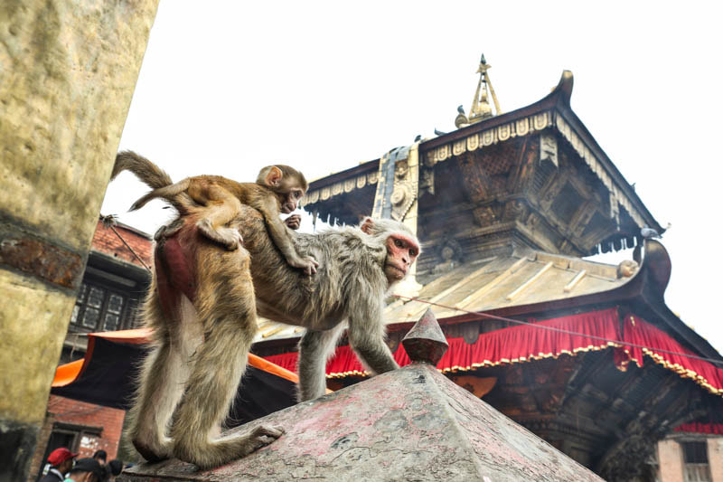 imgi_15_h07a7594_orig