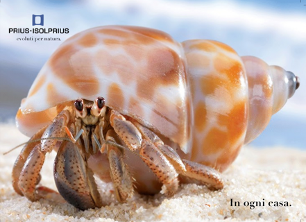 imgi_23_9112175_orig