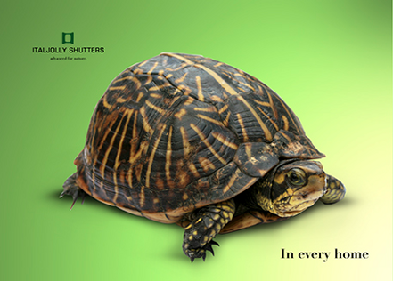 imgi_13_4206670_orig