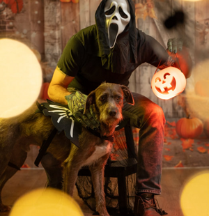 imgi_6_halloween-2022-caporossi002_orig