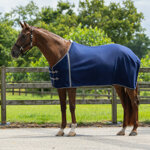 fleece-rug-without-straps-qhp-navy-blue