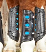 premier-equine-racing-rear-protectors-medium
