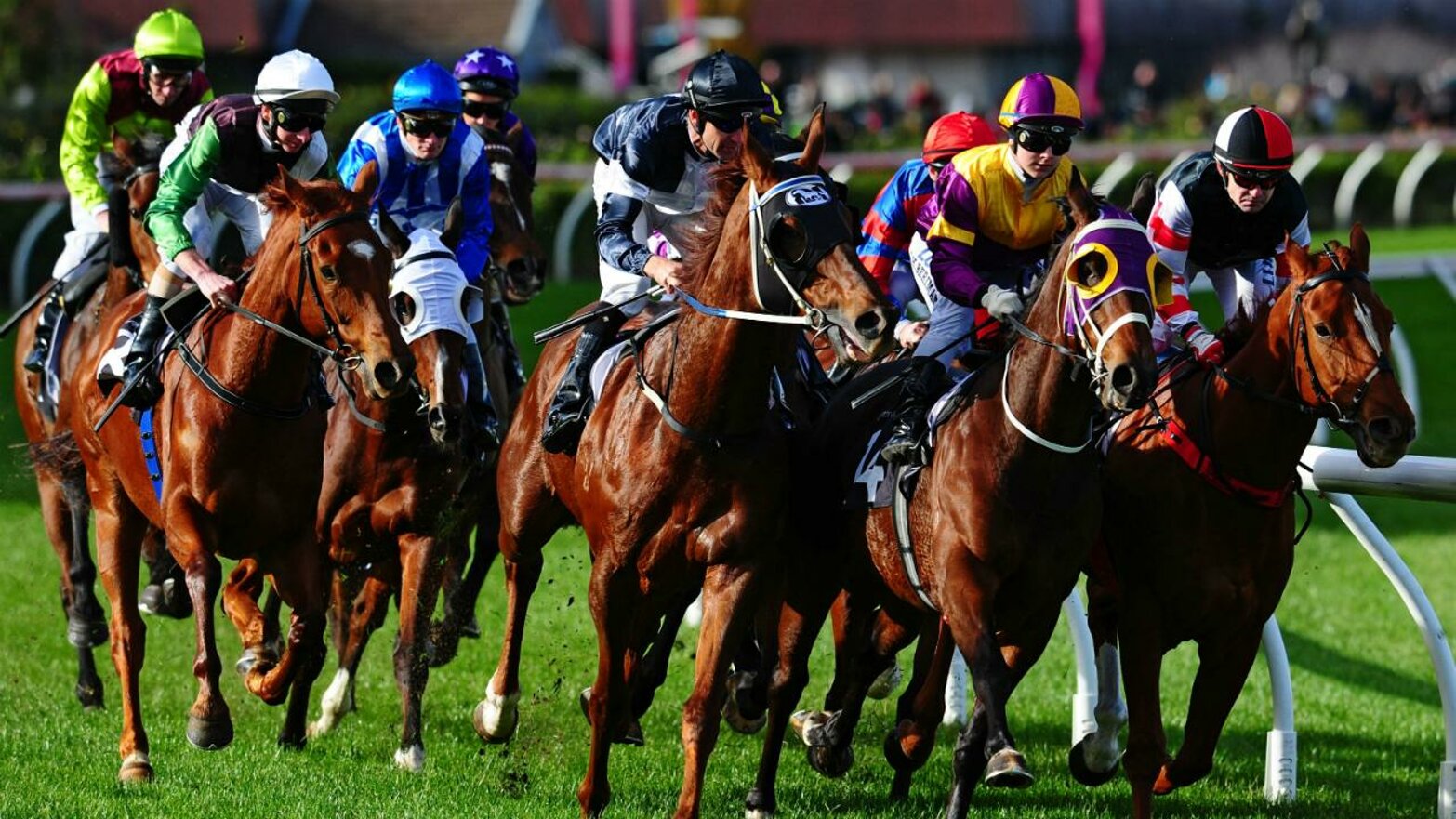 horse-race-generic_2ifx7o6zopr31u2fttc8y2g5n.jpeg