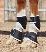 magnetic-bands-for-hooves-magni-teque-ss