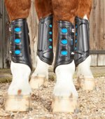 premier-equine-racing-rear-protectors-medium