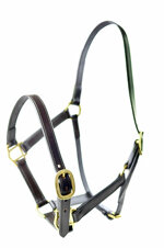leather-training-halter-ascot