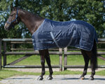 box-rug-150-gr-qhp-navy-blue